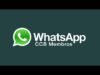 Grupo CCB WhatsApp
